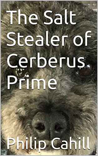 The Salt Stealer of Cerberus Prime