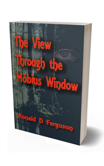 The View Through the Möbius Window