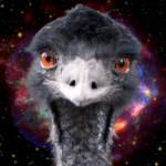 Profile picture of KJ Matthews